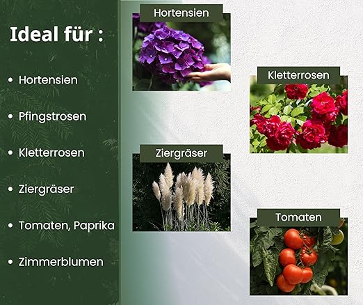 Mehrzweck-Pflanzenständer rund🌻🌼🌷