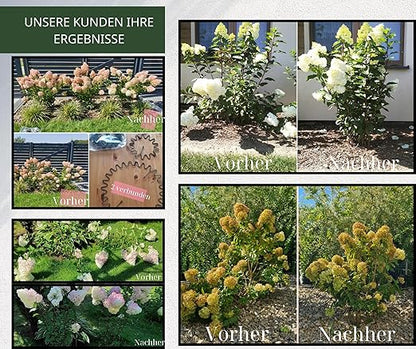 Mehrzweck-Pflanzenständer rund🌻🌼🌷